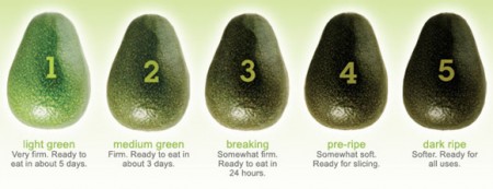 How to Buy and Store Avocados So They Last Longer - Watch Learn Eat